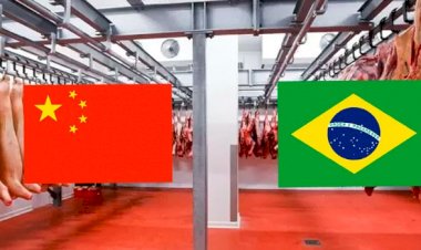 URGENTE: CHINA SUSPENDE NOVOS FRIGORÍFICOS BRASILEIROS