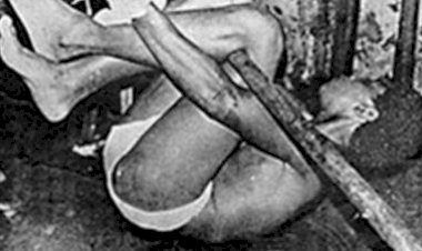 Superior Tribunal Militar assume torturas durante a Ditadura Militar no Brasil, confira