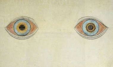 Bifo: a guerra e a deriva psicótica do Ocidente