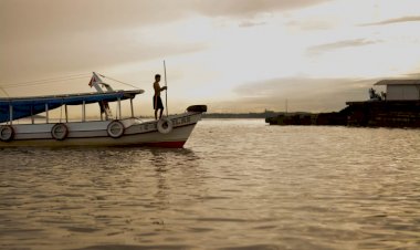 Por 10 votos a 1, STF determina reativação do Fundo Amazônia
