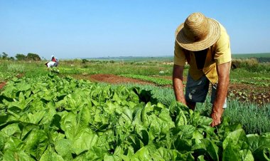 MST ganha espaço na transição e pode conquistar avanços na reforma agrária
