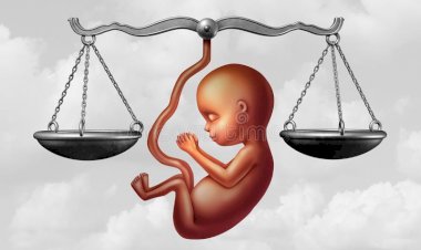 EM MEIO A AGRESSÕES, VOTAÇÃO DE PROIBIÇÃO DO ABORTO É ADIADA NA CÂMARA