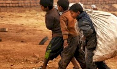 Taxa de pobreza entre crianças de 0 a 6 anos de idade chega a 44,7% no Brasil, mostra estudo da PUCRS