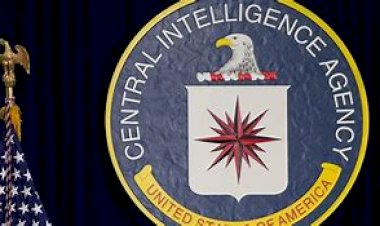 Arquivos comprovam ação da CIA e FBI no Twitter: 'Estão pautando nosso intelecto', diz analista