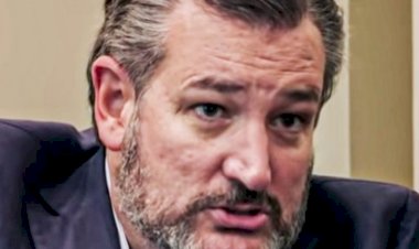 Senador sem noção do Texas pensa que Brasil é quintal dos EUA e faz ameaças à soberania do país