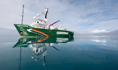 Pesquisador afirma que Greenpeace manipulou dados sobre corais na Foz do Amazonas