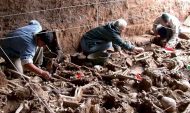 Documentos inéditos indicam que Crematório da Vila Alpina foi planejado para ocultar cadáveres da ditadura