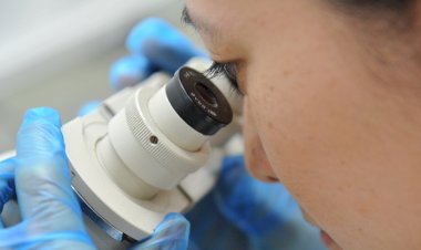 Números mostram retração inédita da produção científica brasileira