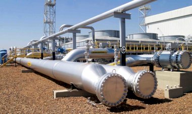 Venda de gasodutos da Petrobrás ameaça programa de reindustrialização de Lula