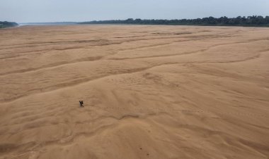 Seca no Amazonas: Rio Negro atinge menor nível em 121 anos, com apenas 13,59 metros