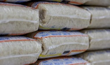 * Leilão de arroz é suspenso e não tem data para ser retomado