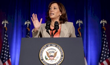 Quem é Kamala Harris, a provável democrata na disputa pela eleição presidencial nos EUA?