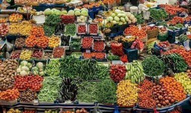 Opinión. La agricultura, llave maestra para la paz y el progreso