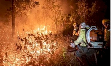 Brasil lidera ranking de queimadas no mundo com mais de 200 mil focos de incêndio em 2024