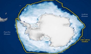 Ártico e Antártica: o volume de gelo nos polos se aproxima de mínimos históricos este ano