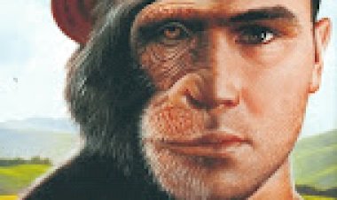 Como construir uma sociedade mais humana?