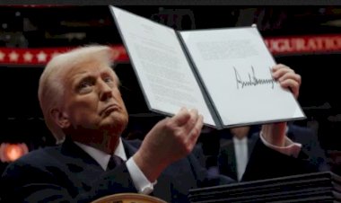 Decretos de Trump: estados americanos vão à Justiça contra revogação do direito à cidadania para filhos de imigrantes ilegais