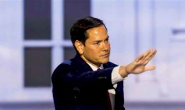 Marco Rubio: o flerte do bolsonarismo com o novo chefe da diplomacia dos Estados Unidos