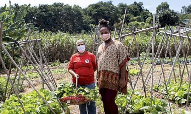 Como a inflação dos alimentos se volta contra Lula 