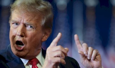 Trump mente sobre tarifas do Brasil. EUA faturaram R$ 315 bi com país em 10 anos