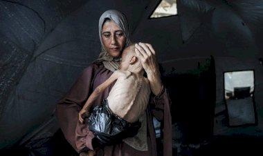 Em Gaza, Israel constrói seu Auschwitz