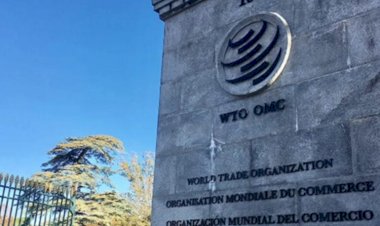 Brasil denuncia na OMC tarifaço de Trump e alerta: ‘Atalho perigoso para a guerra’