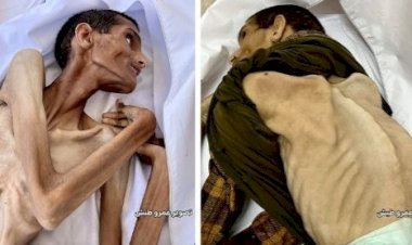 Estudo vinculado a Harvard descobre que Israel fez desaparecer quase 400.000 palestinos em Gaza (metade deles crianças) | The Cradle 