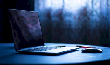 O poder da câmera: como os documentários estão mudando leis e a opinião pública