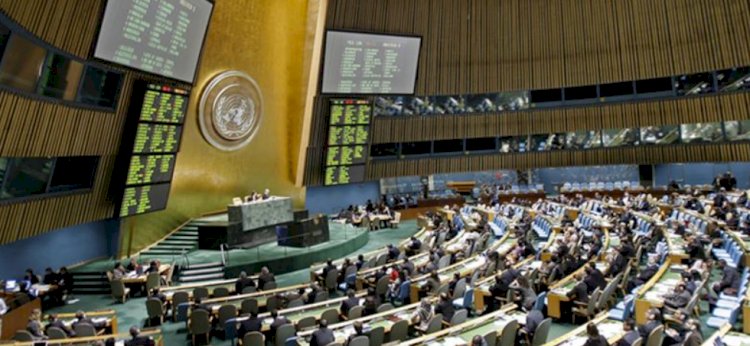 Bolsonaro vai rebater críticas em discurso na Assembleia Geral da ONU, diz jornal