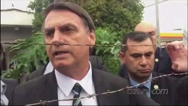 Bolsonaro recua e diz que não vai acusar países por compra de madeira ilegal