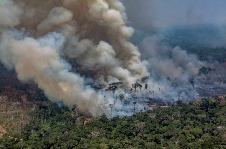 Pesquisador do Inpa desmente Bolsonaro sobre Amazônia não pegar fogo