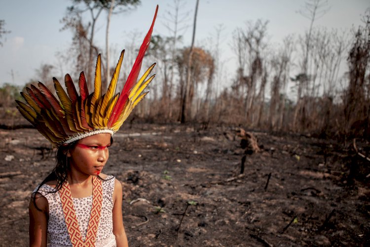 Invasões a terras indígenas crescem pelo sexto ano consecutivo