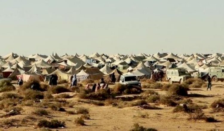 Direto do Saara Ocidental: conheça a luta da última colônia da África
