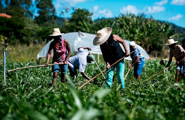 Novo Plano Safra: agricultura familiar forte é ferramenta contra fome, machismo e racismo