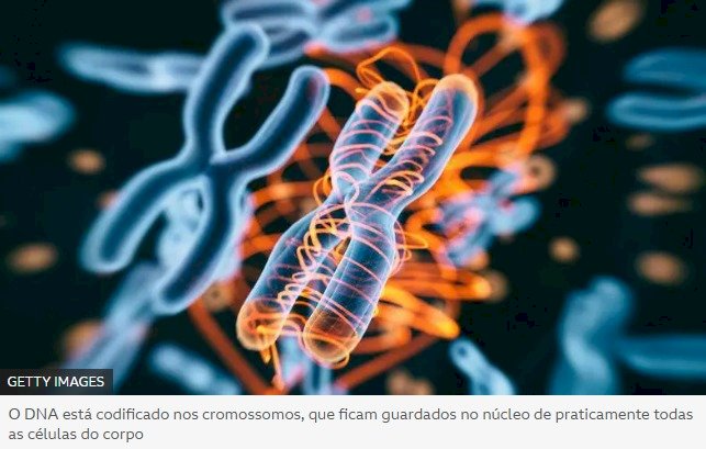 As 8 milhões de mutações inéditas encontradas no DNA do povo brasileiro